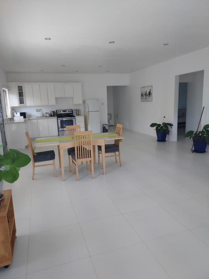 The Willow Apartment Очо Риос Екстериор снимка